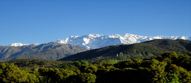Beauty of Himachal