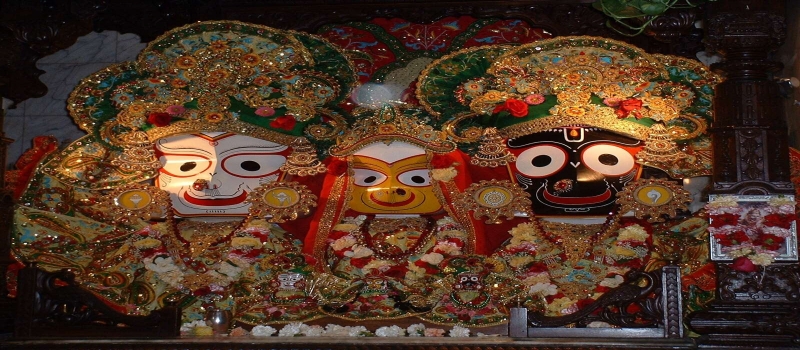 Incredible Odissa