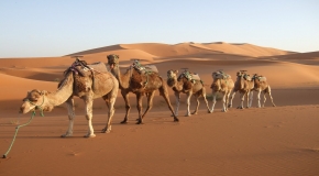 Rajasthan