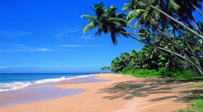 Goa Delight
