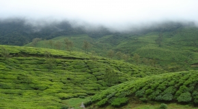 Magnificent Kerala