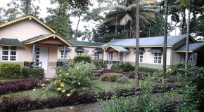 Tuskers den forest resort